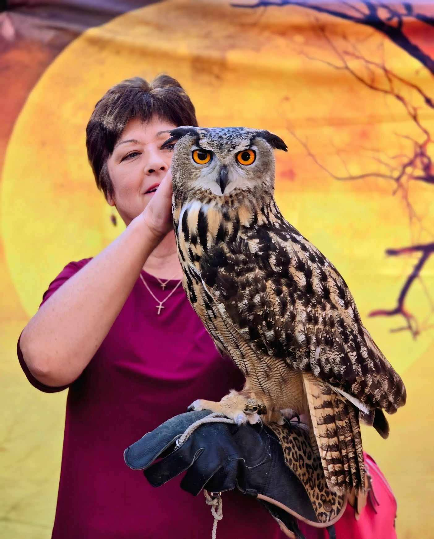 Eurasian eagle, owl Rocky